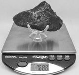 RocksburyPlace.com - Select X-Large Campo del Cielo - Argentina - 4.5" - 768.8 grams