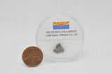 RocksburyPlace.com Space Collection 2020: Eight Meteorites Around The World, Mars Rock, Moon Rock