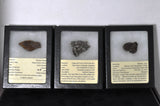 RocksburyPlace.com X-Large Meteorite Fragment Set (14 - 35 grams)