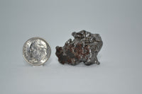 RocksburyPlace.com Campo del Cielo Meteorite - 10 - 14 grams