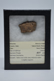 RocksburyPlace.com X-Large Meteorite Fragment Set (14 - 35 grams)