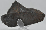 RocksburyPlace.com - Select X-Large Campo del Cielo - Argentina - 4.5" - 768.8 grams