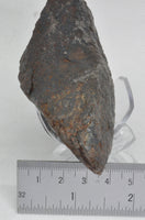 RocksburyPlace.com - Select X-Large Campo del Cielo - Argentina - 4.5" - 768.8 grams