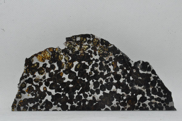 RocksburyPlace.com Pallasite Slice Seymchan Russia Meteorite - 77.8 grams - 6" x 3"