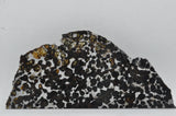 RocksburyPlace.com Pallasite Slice Seymchan Russia Meteorite - 77.8 grams - 6" x 3"