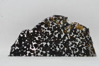 RocksburyPlace.com Pallasite Slice Seymchan Russia Meteorite - 77.8 grams - 6" x 3"